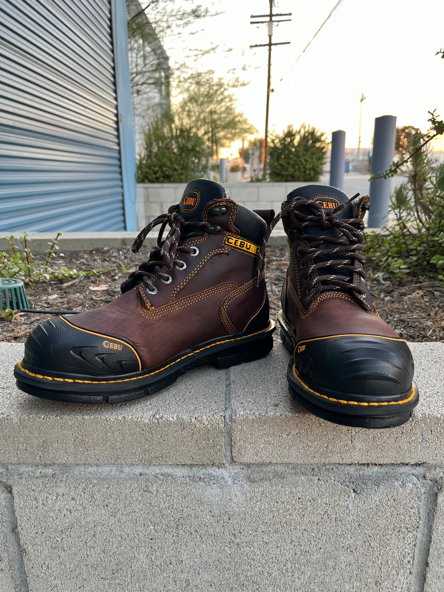 Men’s Cebu “BORCESHARK” Brown 6” Steel Toe Work Boot